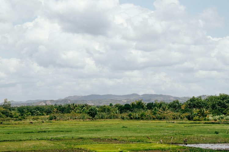 champ traversé par une rivière, Madagascar