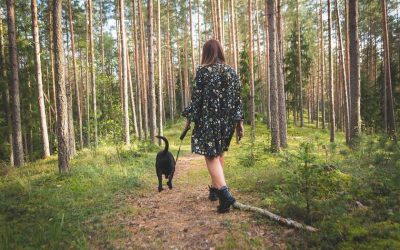 Femme marchant un chien noir dans une forêt dense et lumineuse
