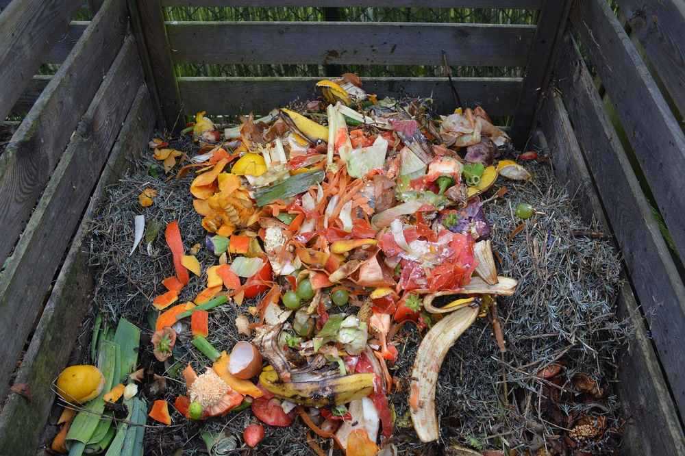 Vos déchets verts valent mieux que l'engrais du commerce Vos déchets verts valent mieux que l'engrais du commerce