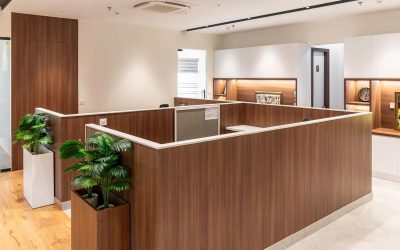 Bureau moderne avec cloisons en bois, plantes, meubles et éclairage